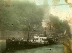 D/S 'Freidig' (b. 1882) med nøytralitetsmerke under 1. verde