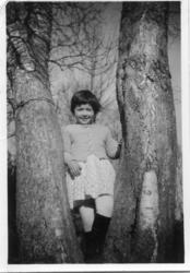 Erna konstanse i treet, Bakken, Ugelvik