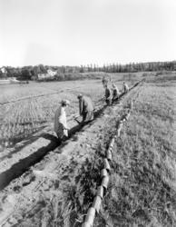 Valle-Hovind feltet. Oktober 1949