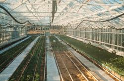 drivhus betong interiør