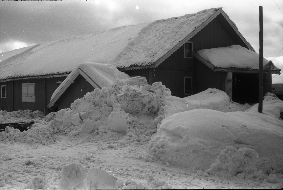 Fire bilder som illustrerer snømengden april 1951. Bildene er fra Evang østre på Lena, Ø.Toten, to ved hovedbygningen, to ved låven.
