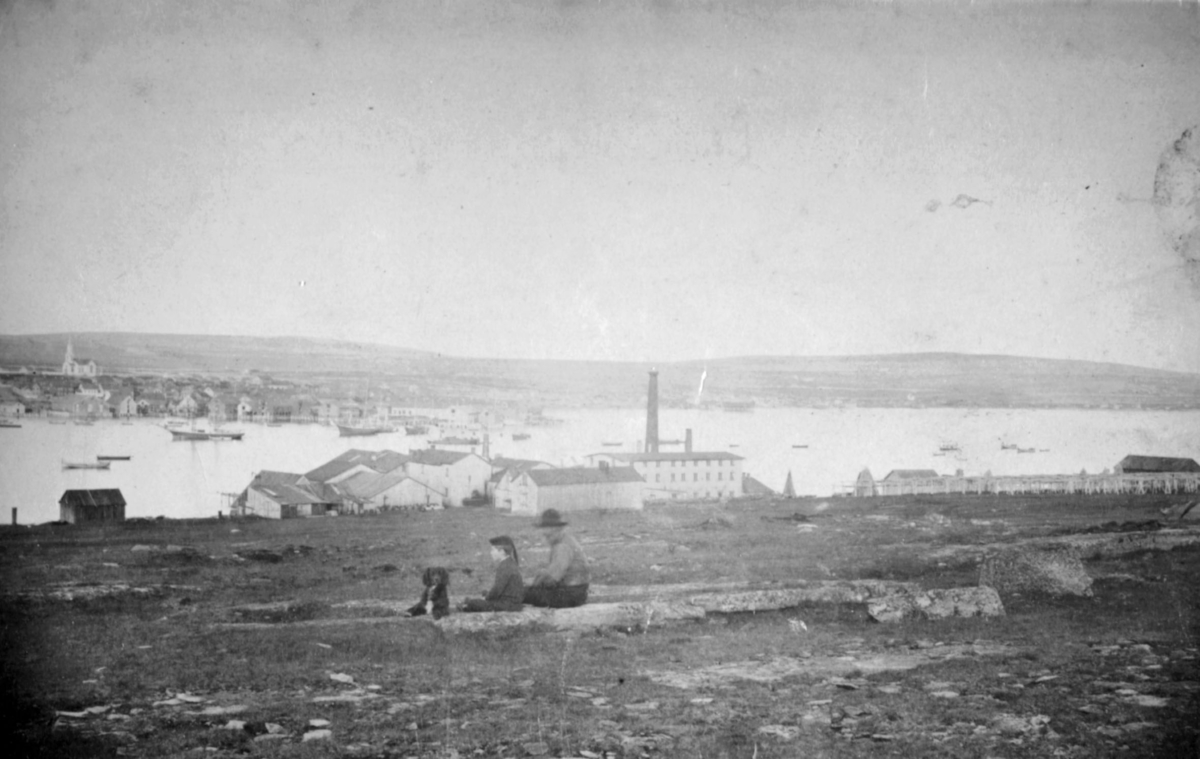 Vadsø sentrum og ytrebyen, med øya i forgrunnen i ca. 1880. Bildet er tatt litt ovenfor Svend Foyns hvalfrabrikk. Vadsø med kirka men uten Amtmannsgården. På havna ligger båter og skip, antakelig pomorskuter.