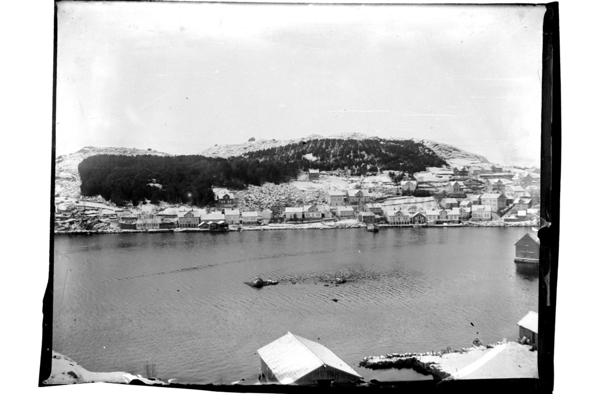Utsikt fra Engø mot Svinehagen, Farsund. Fotografert 1900-01.