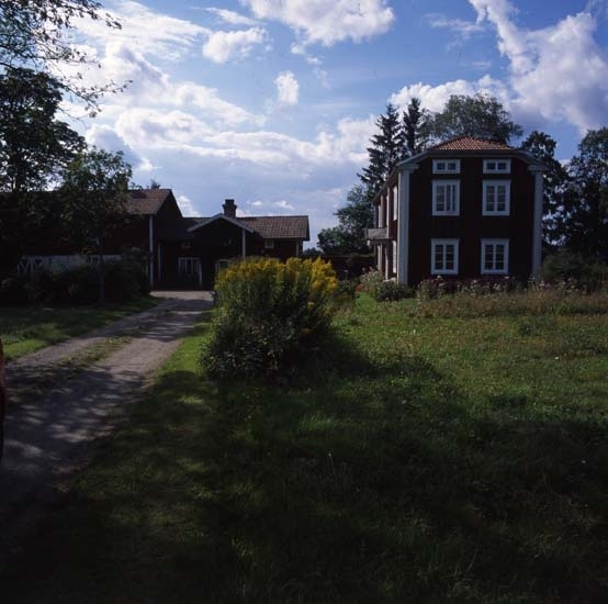 Det blommar fint på gården Sunnanåker, augusti 2001.
