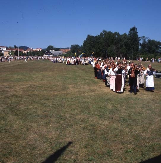 Hälsingehambon för 36:e gången, Kolgårdens före detta idrottsplats i Bollnäs, 7 juli 2001.