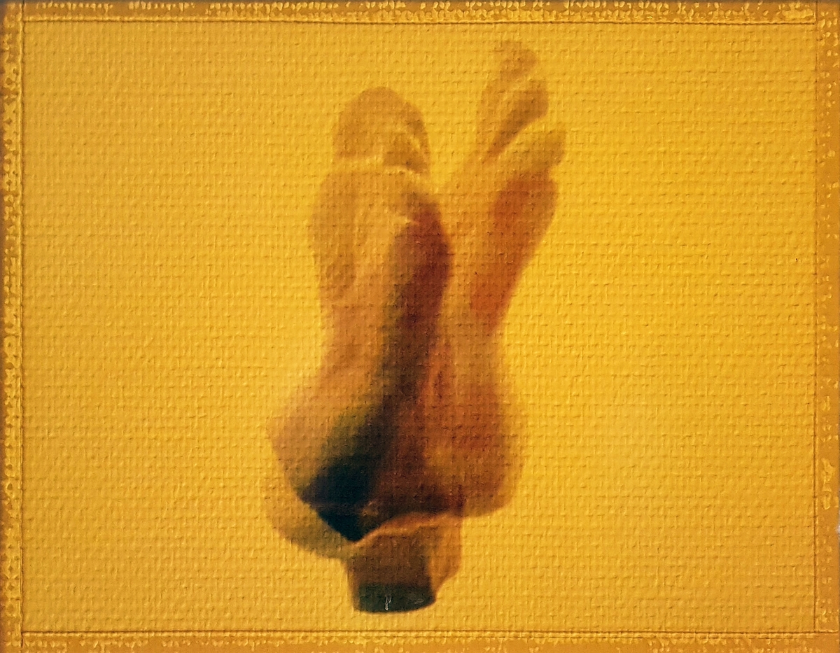 "Etalasjens dialog" består av to fotografiske friser forseglet til veggen, og viser en samling "gestikulerende" føtter og hender i et kor av kroppslig kommunikasjon.
