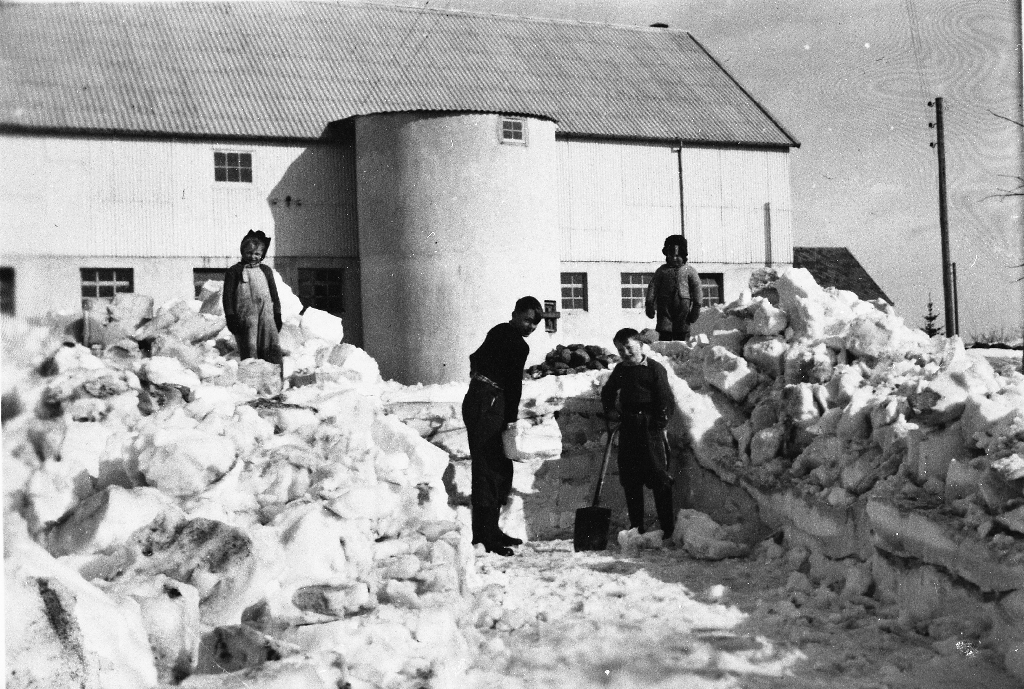 Brøyting av gardsveg bnr. 4. F. v. oppe i snøhaugen, Eddveig Haugland g. Rangen (25.5.1947 - ), Helge J. Haugland (11.6.1938 - ), Laurits Haugland (12.9.1942 - 30.8.1999) og nabogutten Oddmund Haugland.