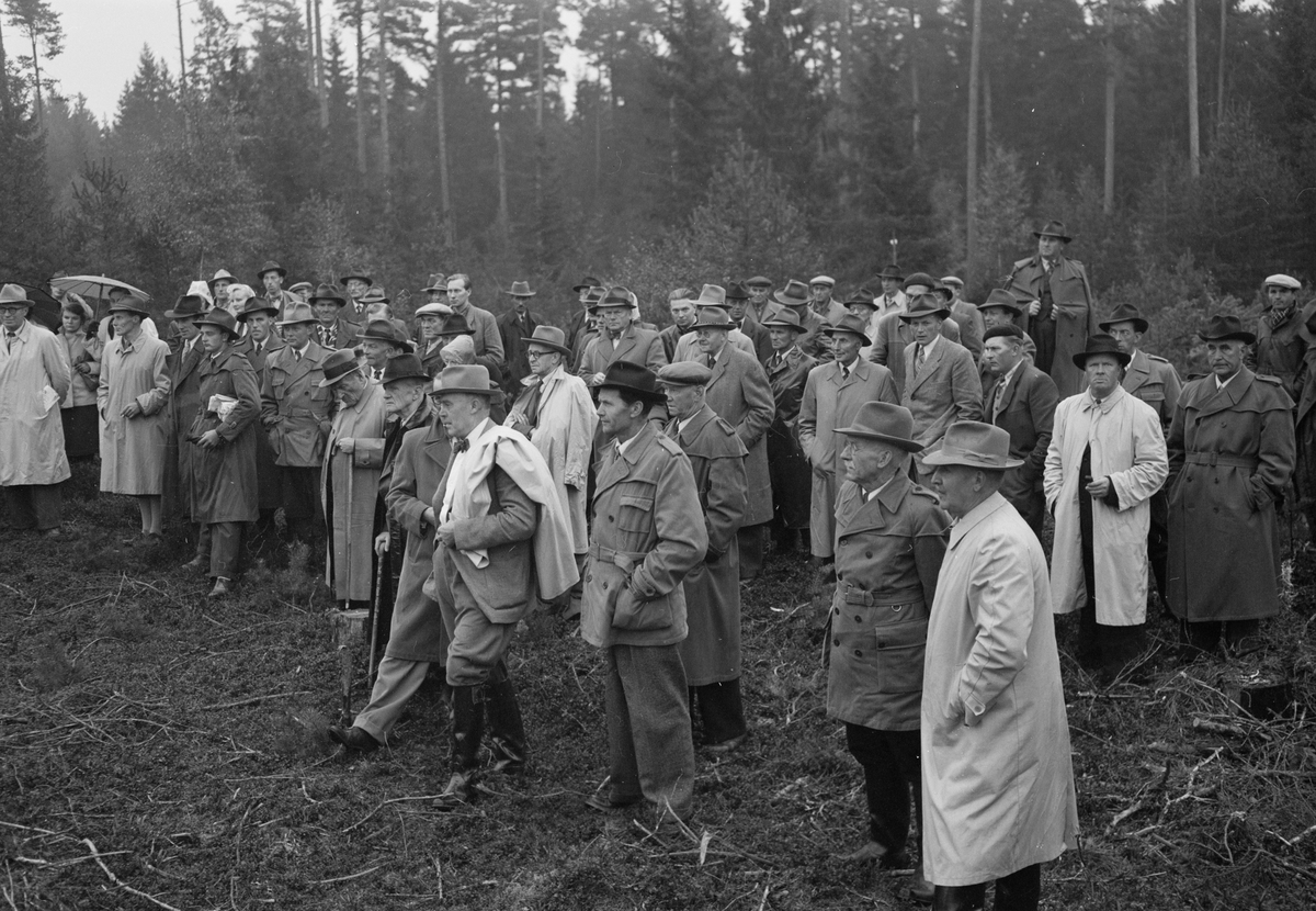 Skogsägarföreningen, män i skog, Uppland 1951