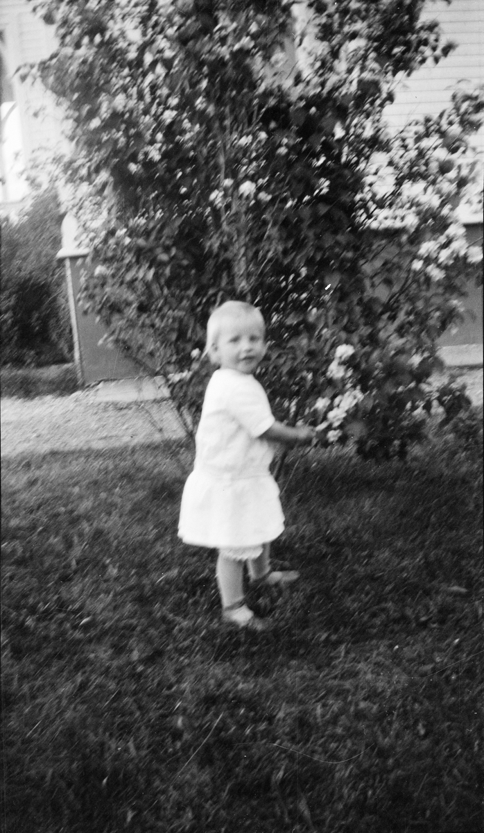 Marit Liljefors stående i trädgård framför rosenbuske, sannolikt hos sina morföräldrar i Stavanger, Norge