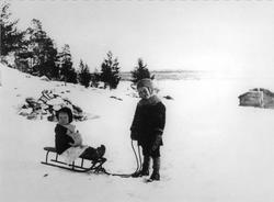 Barn, slede, Jonasvollen 1919, Leif Svendsen, Gudrun (Liseth