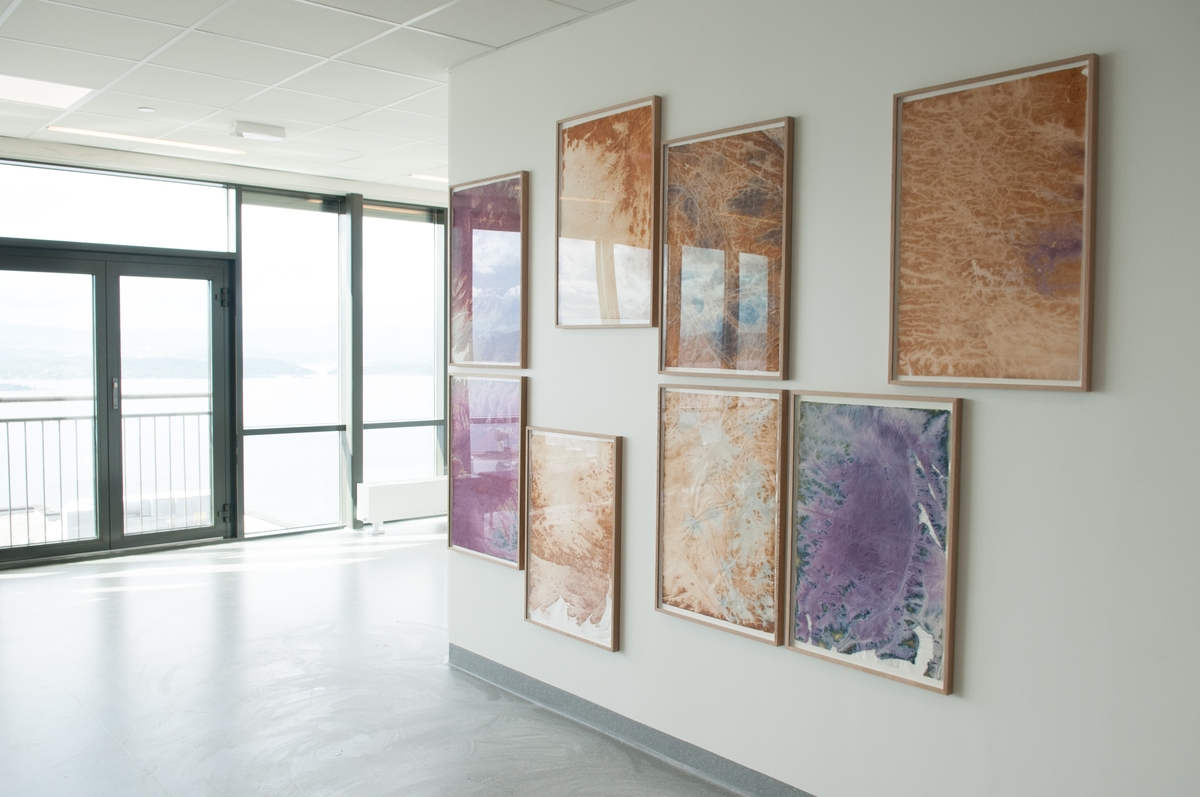 Anngjerd Rustands abstrakte billedkomposisjon over to vegger forteller om en prosess med blåbær og aske.