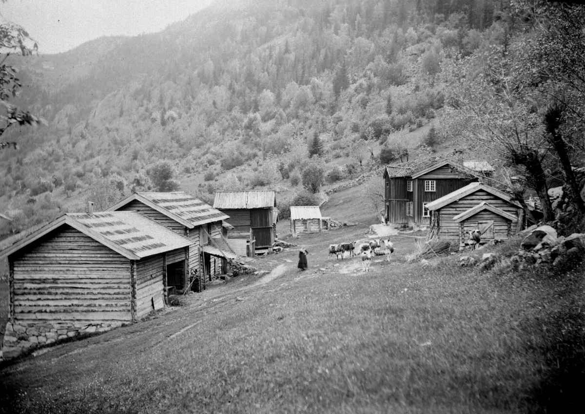 Homme gård 1891