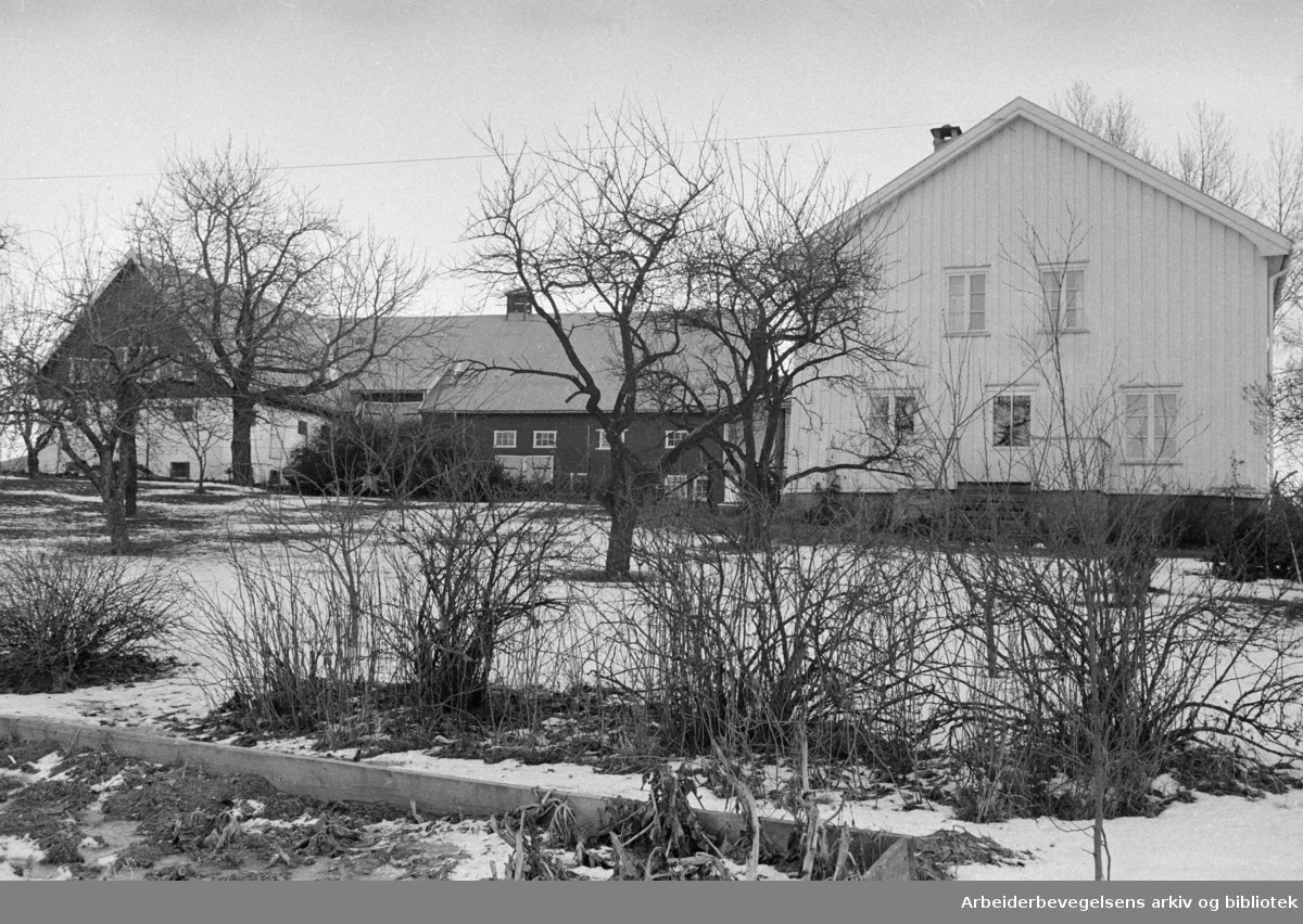 Lindeberg gård, nordre. Januar 1975