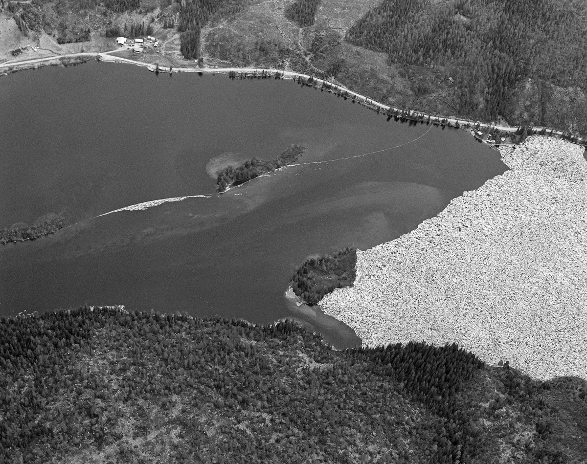 Flyfotografi fra nordenden av Sennsjøen i Trysil.  Bildet er tatt våren 1986 over et landskap med en smal innsjø omgitt av et terreng med skog, i hovedsak glissen bjørke- og furuskog, men også tettere granbestand i partier med djupere jordsmonn og mer fuktighet.  Langsmed østsida av vassdraget (øverst i bildet) gikk Sennsjøvegen (fylkesveg 581) forbi Sennsjøvik-gardene.  Ute i innsjøene ser vi de to Sandholmene.  Like sør for disse holmene lå det ei lense, der tømmeret som var fløtet ned Femundselva fra Engerdal ble holdt tilbake i påvente av høvelig vannstand i den nedenforliggende delen av Trysilelva.  I den øvre delen av vassdraget var man avhengige av å fløte mens det var flomvannføring, for å slippe at tømmeret satte seg fast på grusører i elveløpet. Lengre nedover var det et poeng at vårflommen skulle være på retur før de store tømmermengdene kom. I det flate lendet langs Trysilelva kunne nemlig flomvannet føre mange av stokkene langt inn på land, og i så fall ble det arbeidsomt for fløterne å bære dem tilbake til vannstrømmen i elveløpet når vannstanden sank. Derfor ble engerdalstømmeret ofte holdte tilbake i Sennsjølensa til begynnelsen av juni. Det året dette fotografiet ble tatt ble det levert om lag 22 000 kubikkmeter fløtingsvirke fra Engerdal. Dermed ble bilvegene i regionen spart for 3 - 4 000 lastebillass. Fløterne var avhengige av nordavind når det åpnet Sennsjølensa, for strømdraget var ikke kraftig nok til å dra tømmeret gjennom sjøen om det blåste fra sør. På vannspeilet ser vi hvordan fløterne hadde sikret tømmerbeholdningen ved å legge ei lense som hindret tømmeret i å drive inn i Sennsjøvika (øverst til venstre i bildet). Da dette fotografiet ble tatt var det kraftig sønnavær. Vinden hadde blåst tømmerbeholdningen noe tilbake (nordover) fra stopplensa.