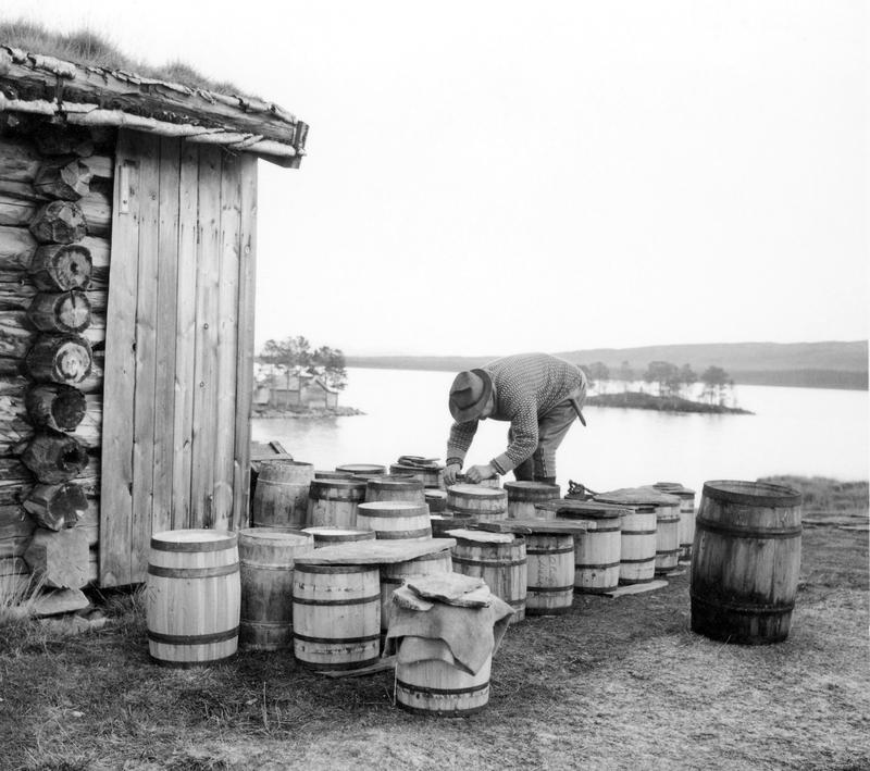 Tønner med røye og sik på innlandsfiskeværet Fiskevollen ved Sølensjøen klargjøres for transport til Øvre Rendalen.  Fotografiet er tatt i 1965.  Hovedfiskeriene i denne innsjøen var avgrenset til to sesonger – et sommerfiske som startet ved St. Hanstider og pågikk fram til midten av juli, og et høstfiske i gytetida for sølensjørøya, fra midten av september til midten av oktober.  Fisken som ble fanget i disse avgrensete sesongene skulle ivaretas slik at fiskerne og deres hushold hadde glede av den gjennom året for øvrig – både i eget konsum og som salgsvare.  Ettersom Sølensjøen ligger langt fra bygda og lenge manglet vegforbindelse, var fiskerne avhengige av å konservere fisken på stedet – det vil si ved buene sør i sjøen eller på Fiskevollen i nordvest.  De to dominerende konserveringsteknikkene som ble brukt var salting og raking.  Fram til 1930-åra ble størstedelen av fangstene saltet i tretønner, som på dette bildet.  Tønnene kunne ha ulike formater – åttinger, kvartiler, halvtønner og heltønner, ofte gjenbrukte sildetønner.  Fisken ble lagt lagvis, med raust med salt imellom.  Etter hvert fikk rakfisk status som festmat, og i løpet av 1930- og 40-åra oppdaget Sølensjø-fiskerne at slik fisk var vel så godt betalt som saltfisk.  Derfor begynte de på «rake» fisken i salt- og sukkerlake i stedet.  Også dette ble i begynnelsen gjort i tretønner, men fra 1960-åra tok plastemballasjen gradvis over.  Vi ser ikke utenpå tønnene om de inneholder saltet eller raket fisk, men i 1965 utgjorde rakfisk størstedelen av salgsvolumet. 

Mannen er Haagen Hangaard, som i etterkrigsåra ble kalt «Sølensjøkongen» fordi han i denne perioden var den mest aktive fiskeren blant lotteierne på Sølensjøen.  Fotografiet er tatt utenfor kjellen hans (ei redskapsbu), som lå på en bakkekam med utsikt ned mot sjøen og den vesle tangen hvor Grøtbua ligger (jfr. bygningen som skimtes bak hushjørnet i forgrunnen). 