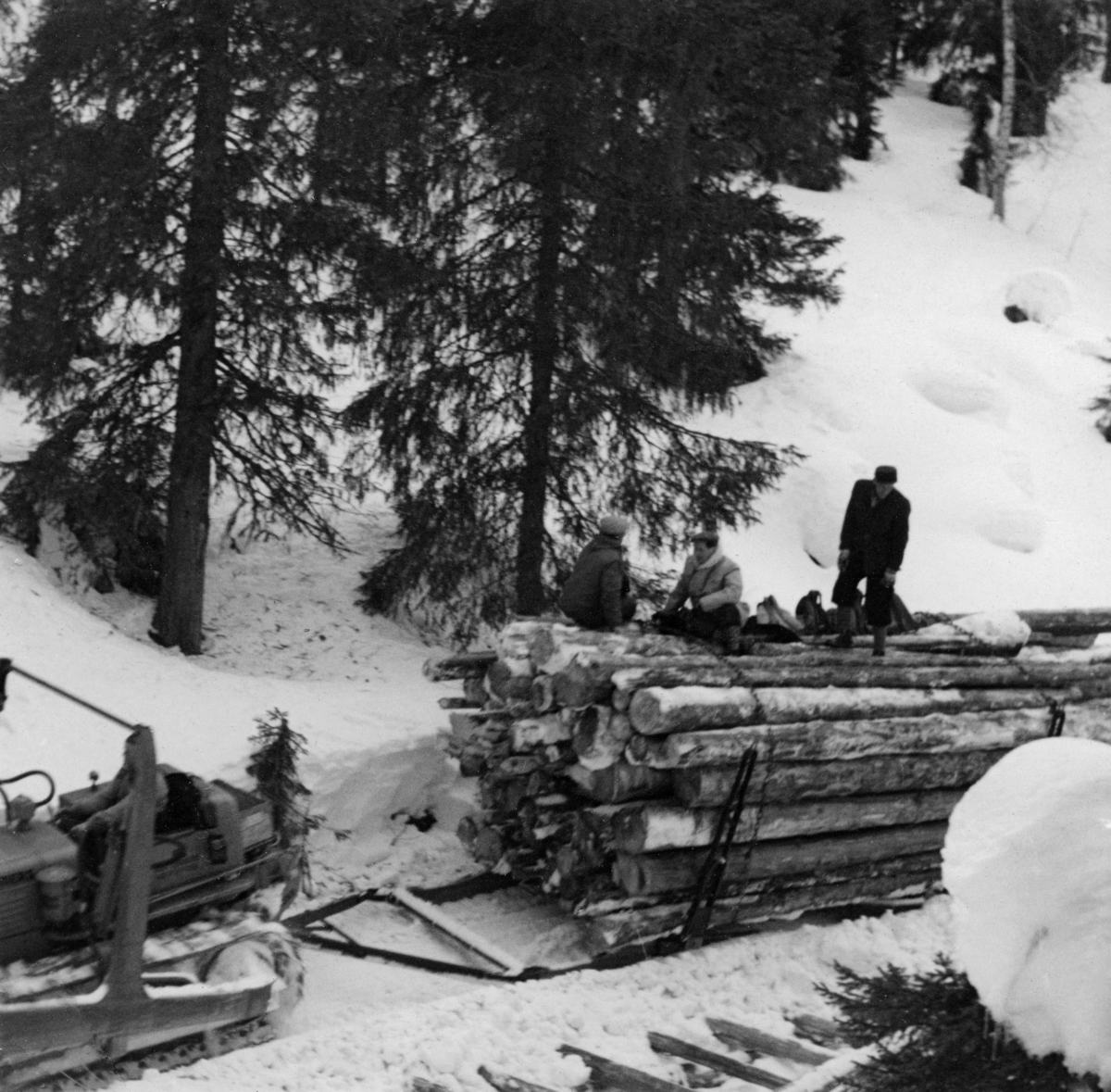 Tømmerrustning, konstruert for beltebiler som firmaet And. H. Kiær & Co. Ltd. tok i bruk i noen av sine vanskeligst tilgjengelige skoger i første halvdel av 1950-åra.  Bildet er tatt fra en bratt bakkekam, ned mot den bakre delen av beltebilen og den fremre delen av lasset på den kraftige, todelte sleden.  Tre menn befant seg oppe på det for sin tid uvanlig digre tømmerlasset.  Fagbladet «Skogeieren» hadde i 1950 en reportasje der de fulgte ei tømmervending hvor det ble kjørt 80 stokker på en slik slede, som i motsetning til tilsvarende doninger for hest, hadde kraftige stålstaker på sidene og et eget ståldrag i fronten.  I tillegg til det tømmeret som befant seg på sleden, var det vanlig at kjørerne la «etterslått», en serie av tømmerfloer som ble slept på den snøpakkete vegen bak beltekjøretøyet og rustningen.  Det lasset fagbladet «Skogeieren» fulgte besto til sammen av 145 stokker, hadde et volum på 18, 7 kubikkmeter og var 70 meter langt.  Denne transportmåten skal ikke ha vært like hemmet av snøfall eller mildvær med klabbeføre som sledekjøring med hest.  Forstmannen Hans Berger, som var skogsbestyrer hos And. H. Kiær & Co. Ltd. og hadde ansvaret for en del av beltebildriftene, rapporterte om at de både gjorde det mulig å hente tømmer fra steder som var langt på veg utilgjengelige med hest, og at driftskostnadene per kubikkmeter ble noe lavere med motorisert transport (jfr. notat som er gjengitt under fanen «Andre opplysninger»). 