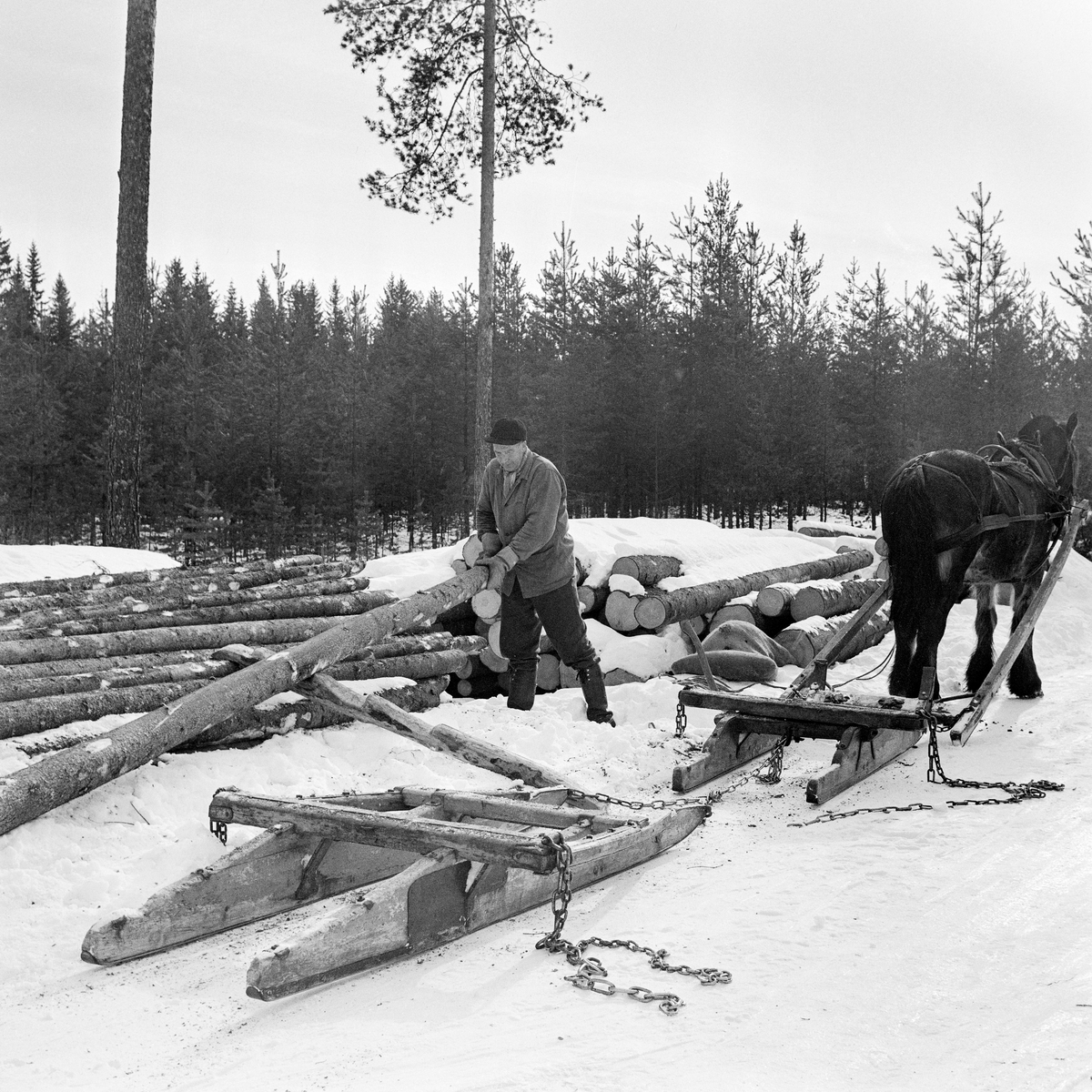 Jørgen Larsen (1919-1988) fra Hernes i Elverum lesser grantømmer i Stavåsen vinteren 1971.  Bildet viser hvordan tømmerkjøreren fikk stokkene opp på tømmerlunna ved å bruke ei såkalt «kjerring», «lassmerr» eller «lesseknekt», en stokk det er hogd hakk i, og som er lagt skrått mot lunnas midtparti. Hakkene i denne stokken ble brukt som anleggs- og vippepunkter når tømmeret skulle opp på toppen av lunna.  Da dette fotografiet ble tatt arbeidet Jørgen Larsen med å få den siste stokken opp på lunna.  I forgrunnen står en tom tømmerrustning, en todelt tømmerslede.  Den bakerste sleden – «geita» – var litt kraftigere enn «bukken» foran, for det var den som skulle bære størstedelen av lasstyngden.  Bukken hadde en dreibar bank, som bidro til å gjøre doningen smidig på svingete og staupete kjøreveger i skogen.  Tømmerkjører Jørgen Larsen var kledd i vadmelsbukse og vindjakke.  Han hadde skjoldlue på hodet og langskaftete gummistøvler på beina. 