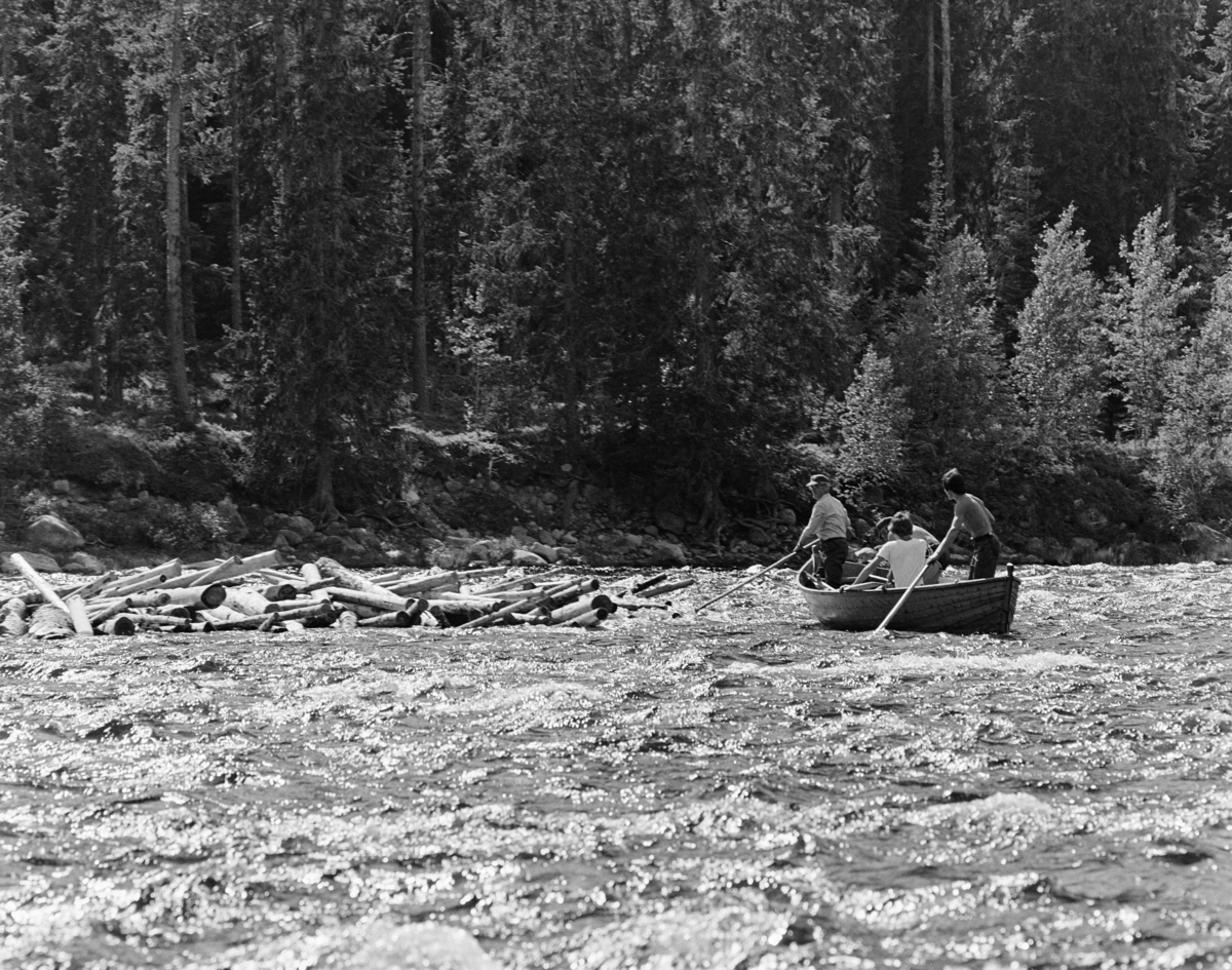 Fra fløtinga i Trysilelva sommeren 1978.  Fotografiet viser fire tømmerfløtere i en robåt som de forsøkte å manøvrere mot en tømmervase i elveløpet.  Fløterne var (fra venstre) Ole K. Rømoen, Einar Liberg (nesten helt skjult på dette fotografiet), Bjørn Graff og Kjetil Olager.  Førstnevnte og sistnevnte sto i hver sin ende av båten med fløterhaker som de staket seg fram med, de to andre satt sentralt i båten.  Graff, Liberg og Rømoen var fra Jordet i Trysil, Olager fra Innbygda.

I 1978 skal det ha vært innmeldt 70 699 kubikkmeter tømmer til fløting i Trysilelva.  Tømmeret gikk til svenske kjøpere, som til sammen skal ha mottatt 112 463 fra Trysilvassdragets nedslagsfelt.  Differensen mellom de to tallene må antakelig ha vært virke som ble transportert over riksgrensa på lastebiler.   I 1978 sysselsatte Klarälvens flottningsförening 27-28 sesongarbeidere med fløting på norsk side av grensa.  Mange av disse var veteraner, men fløtingsledelsen var opptatt av å rekruttere yngre aktører også, med sikte på at fløtinga i Trysil skulle fortsette sjøl om den ble nedlagt i mange andre vassdrag.  Langs Trysilvassdraget var det stor interesse for slikt arbeid.