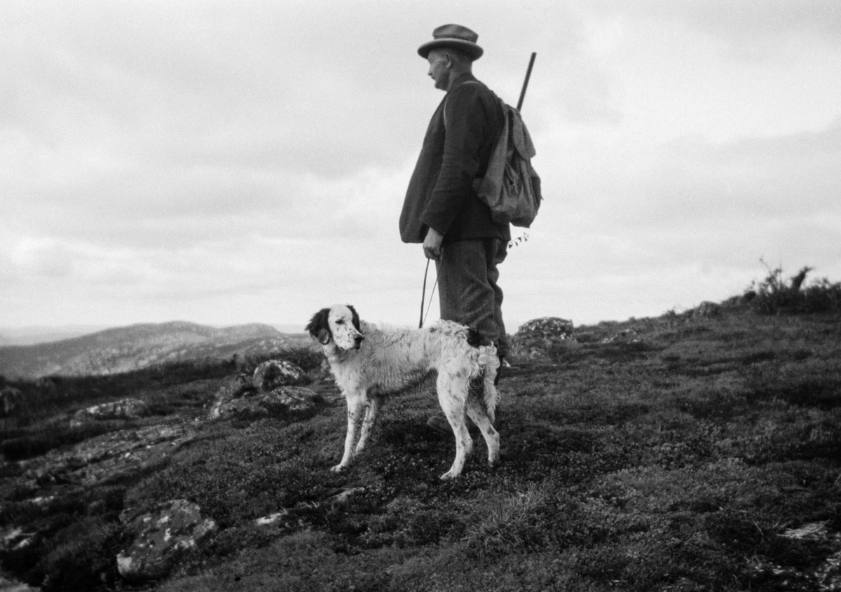 Rypejeger med engelsk setter i band, ryggsekk på ryggen og gevær på skuldra.  Fotografiet er tatt i skogløst fjelleterreng, antakelig i Telemark, sannsynligvis i 1920-åra. Jakthund.