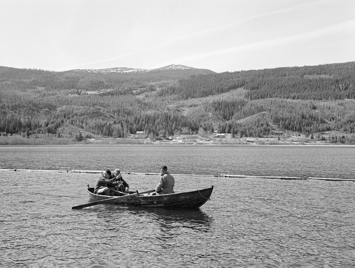 Tre fløtere i en av Glomma fellesfløtingsforenings robåter på Lomnessjøe i Ytre Rendalen i Hedmark.  Båten er en av mange som ble lagd i organisasjonens båtbyggeri på Flisa i Solør.  Karene i båten er Kåre Hansen, Bjørn Brennodden og Egil Berger. Båten ros i et innlenset område.