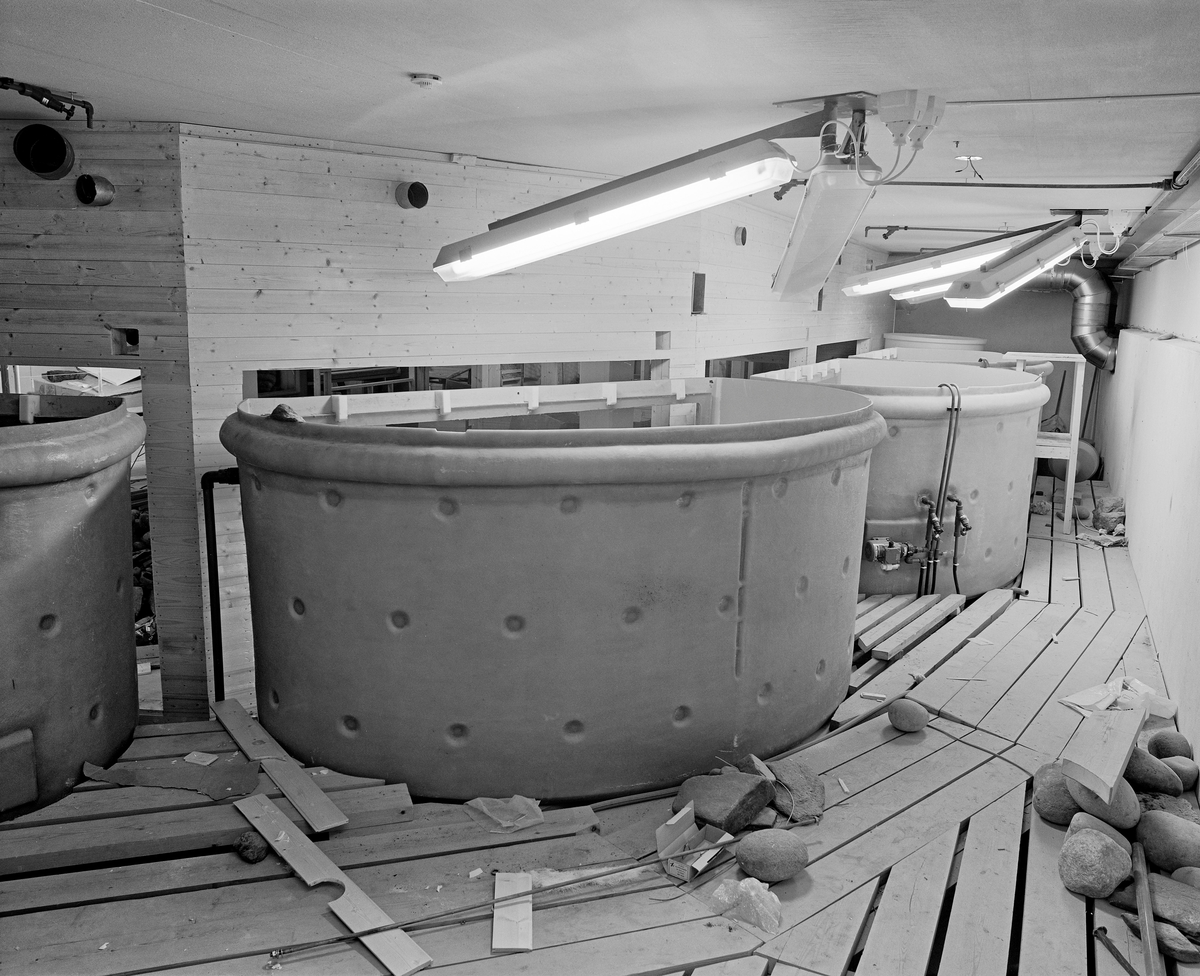 Fra bygginga av akvariet «Fra fjell til fjære» ved Norsk Skogbruksmuseum i Elverum i 1979.  Akvariet ble bygd i museets underetasje.  Publikumsarealet fikk en slags hesteskoform med store vinduer inn mot akvariekar, som skulle vise ulike norske fiskearter i forskjellige biotoper.  Dette bildet er tatt fra «baksida», akvarierøkterens arbeidsrom.  Sentralt i bildet ser vi et av de store, halvsirkelformete glassfiberkarene som skulle romme 2 300 liter vann.  Disse karene ble plassert på jernstativer, med botnflata om lag 70 centimeter over betonggolvet, og hadde vinduer (cirka 2 X 0,8 meter) mot publikumsrommet.  For å skape bekvemme arbeidshøyder for akvarierøkteren, som skulle fore fisk og rense karene, ble det bygd en plattform av 2"X4"planker omkring karene.  Steinene og bordstubbene som lå på denne plattformen tyder på at anlegget ikke var helt ferdig da dette fotografiet ble tatt.  Akvariet ble offisielt åpnet for publikum i forbindelse et representantskapsmøte 22. juni 1979, som også markerte Norsk Skogbruksmuseums 25-årsjubileum.