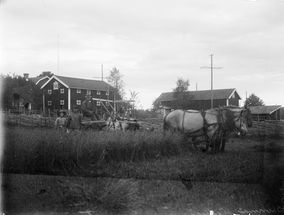 Gunnar Telenius och två andra personer vid hästdraget jordbruksredskap, Sävasta, Altuna socken, Uppland 1925