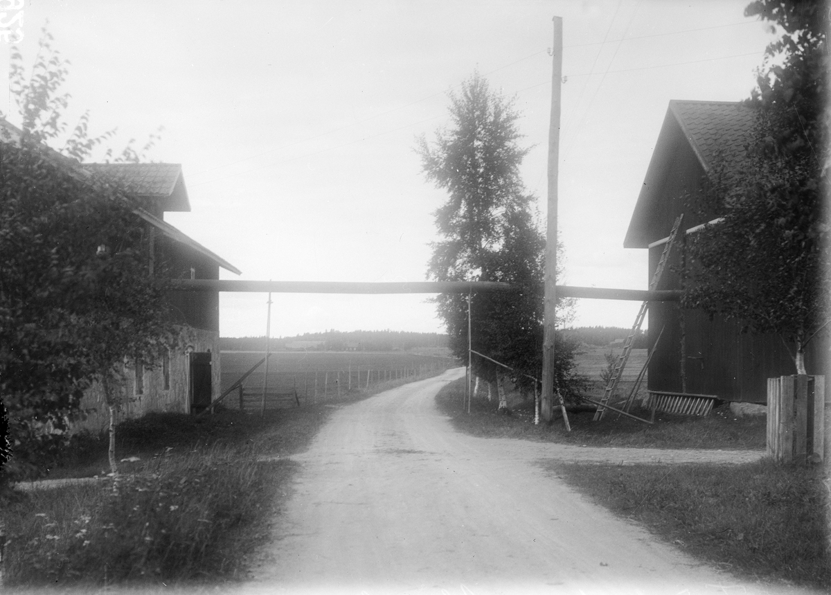 "Trösk hos Alinders", Sävasta, Altuna socken, Uppland 1925