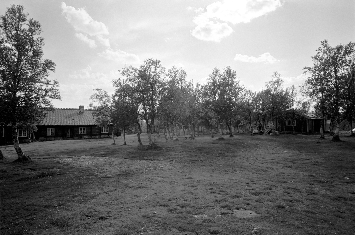 Bonde og tidligere motstandsmann Israel Krupp driver gård i Sør-Fron i Gudbrandsdalen. Bilde av gårdstun med flere bygninger rundt.