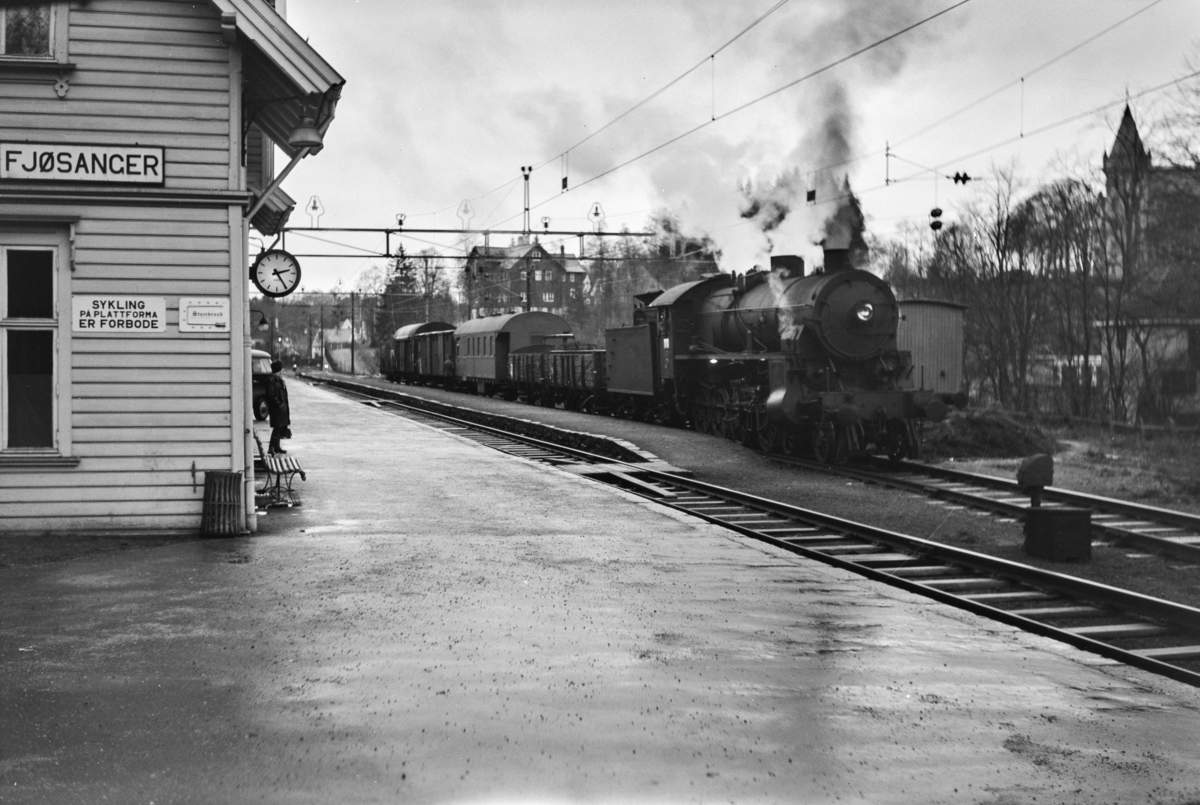 Godstog til Bergen, tog 5515, på Fjøsanger stasjon. Godsoget trekkes av damplokomotiv type 31b nr. 426.