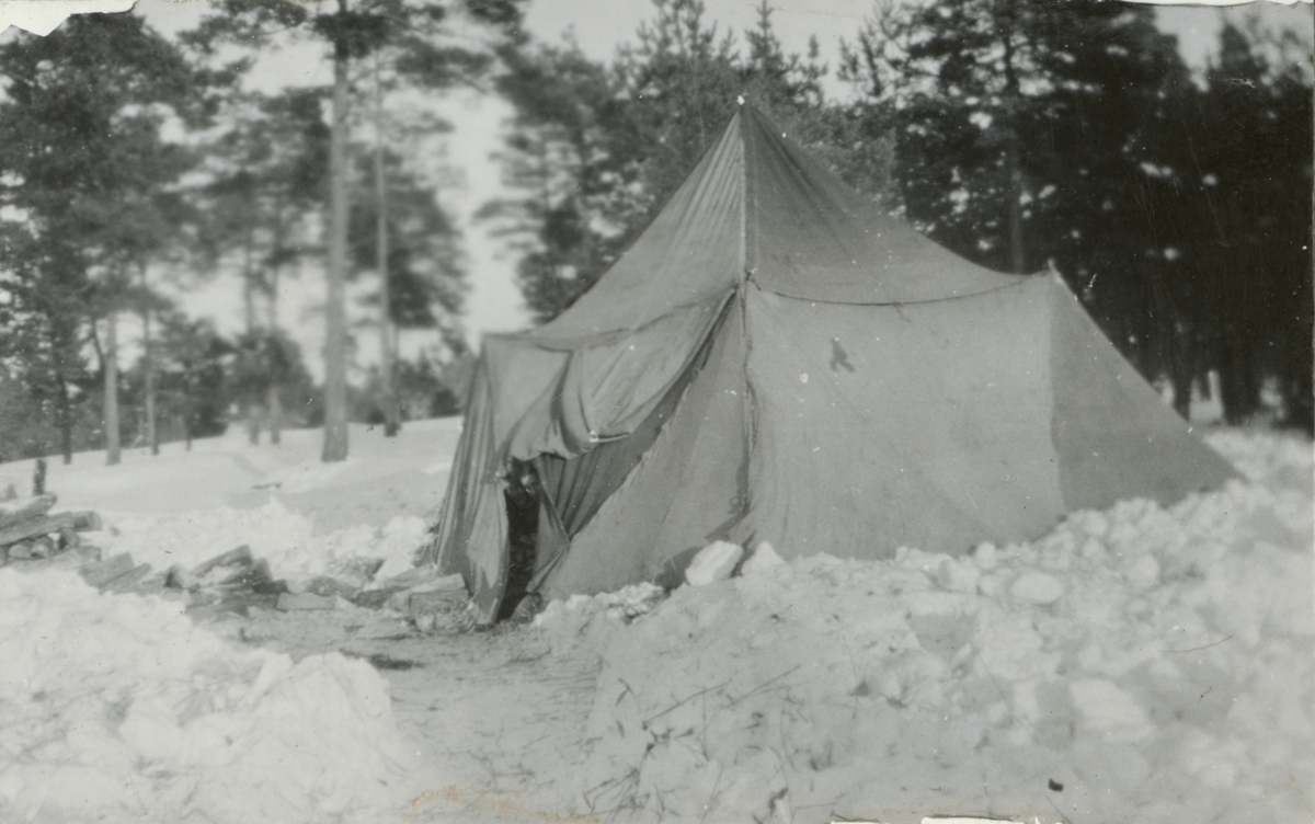 Text i fotoalbum: "Tingstäde 1/2 1929".