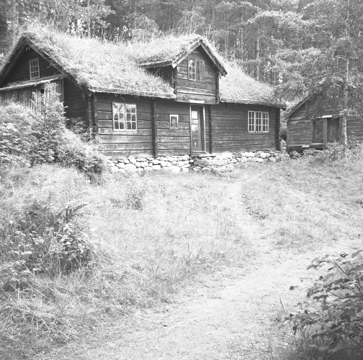 Prospektfotografi av "Liabygdstova" som står på Sunnmøre Museum. Tidligere lokasjon var Ellinggarden, Overå,, Stranda.