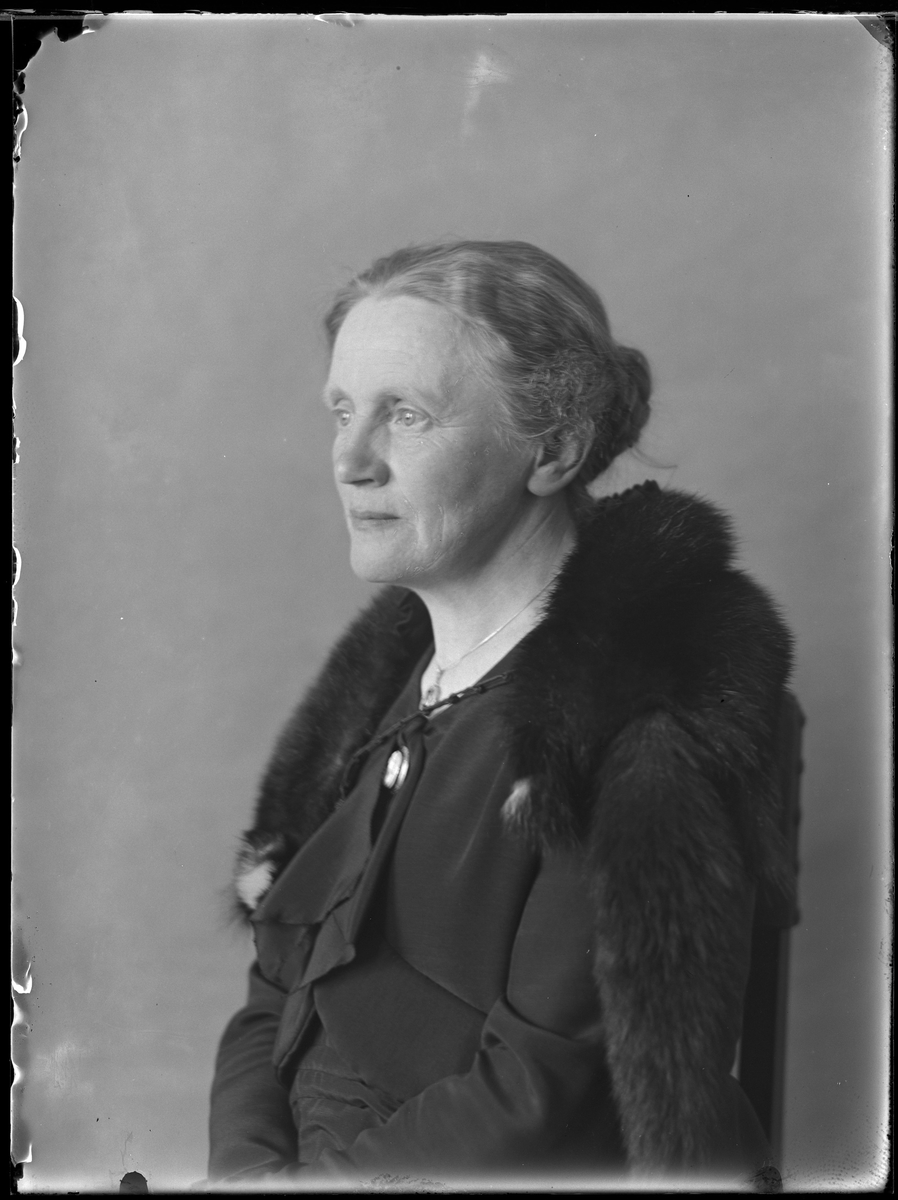 Porträtt av kvinna klädd i mörk klänning och jacka samt med svart pälsboa om axlarna. I fotografens egna anteckningar står det "Fru Enander".