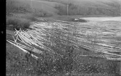 Tømmerloner i Heddalsvannet.