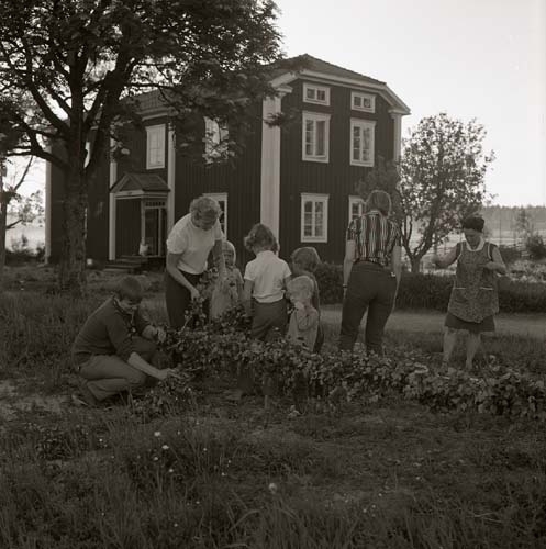 Några personer bygger och klär en majstång på gården Sunnanåker, 1970.