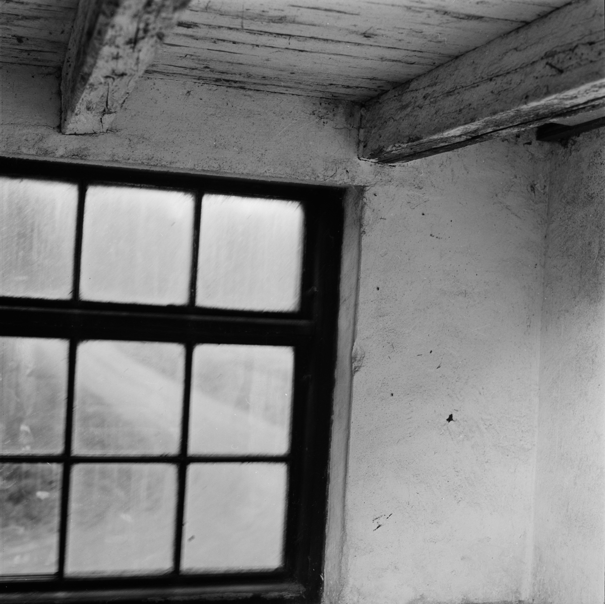 Del av fönster och tak i ladugård, Uppland 1963