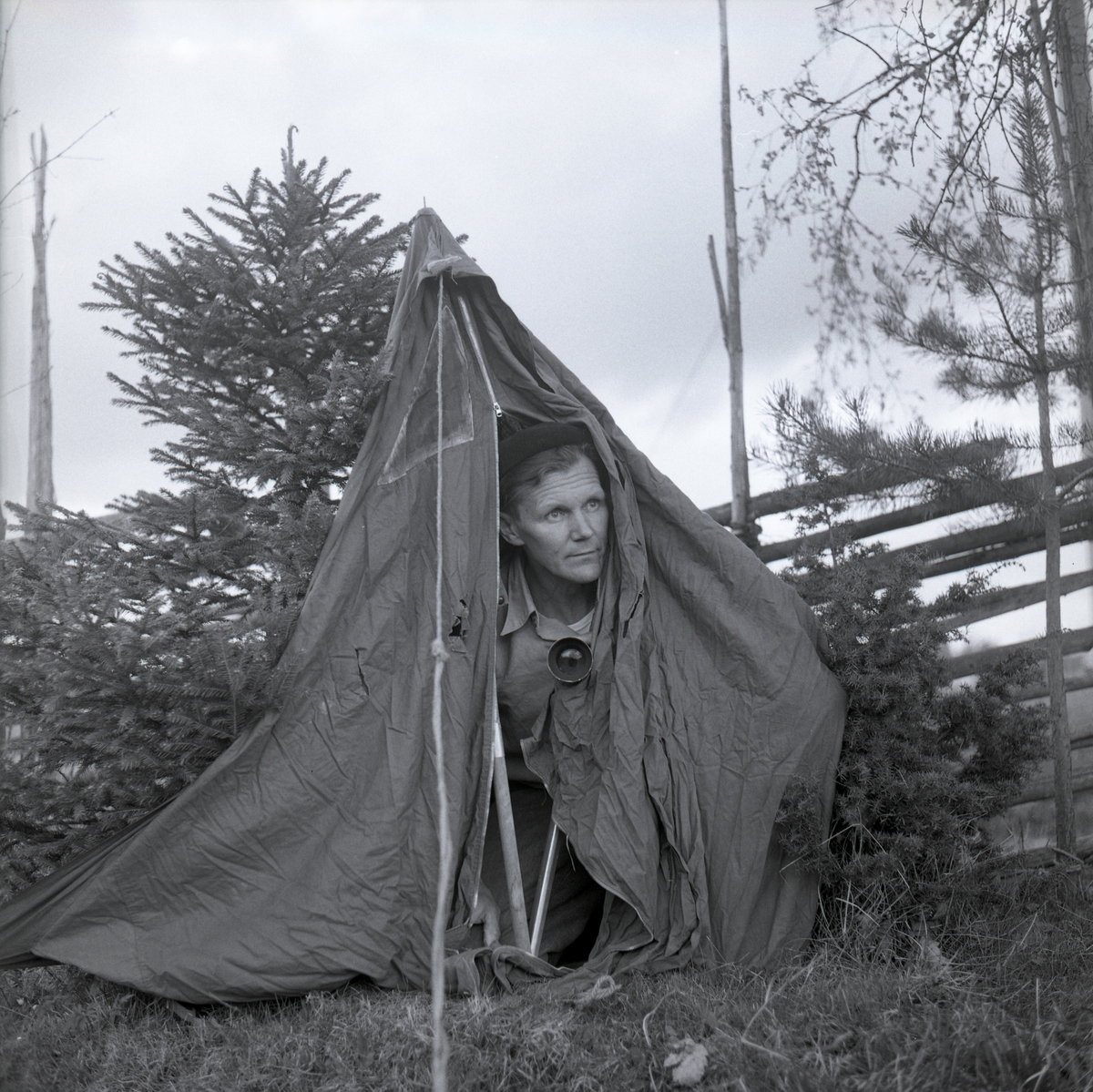 Hilding sitter i ett tältgömsle med en kamera i handen. Bakom tältet finns en gärdesgård och en gran, maj 1963.