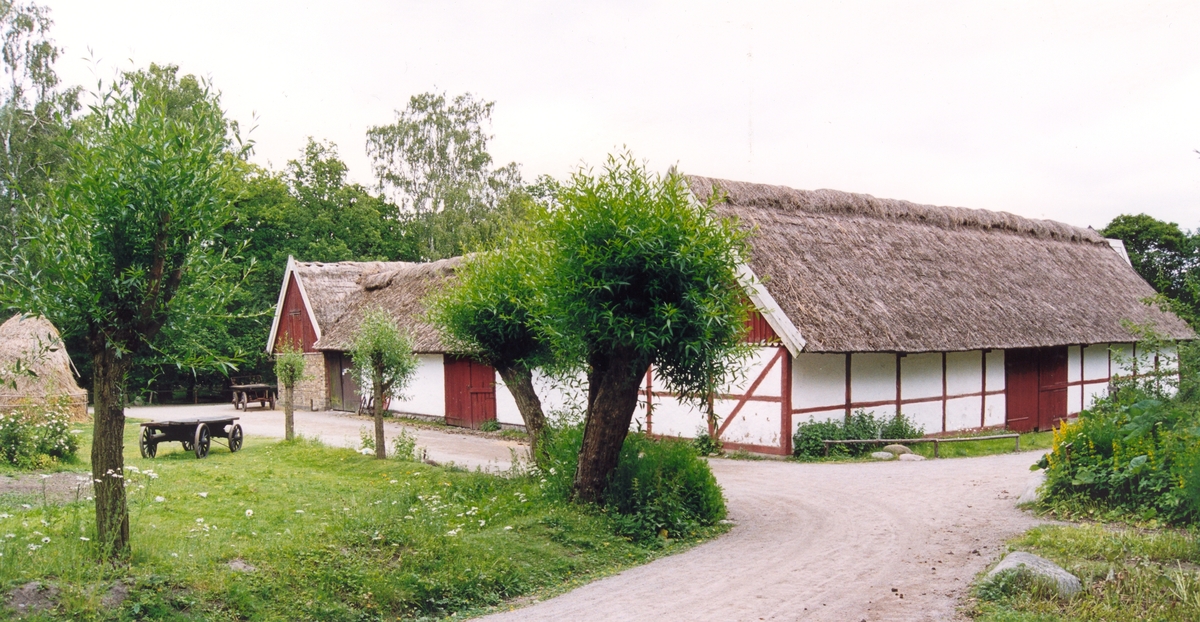 Skansens skånegård flyttades i sin helhet från Högs socken i västra Skåne under åren 1974-1977. Gården är kringbyggd med en gårdsport i den norra delen. Gårdsplanen är satt med natursten. På Skånegården finns en boningslänga, två loglängor samt en stallänga. I söder, utanför den kringbyggda gården ligger trädgården. Byggnaderna är ursprungligen uppförda under 1700- och 1800-talet.