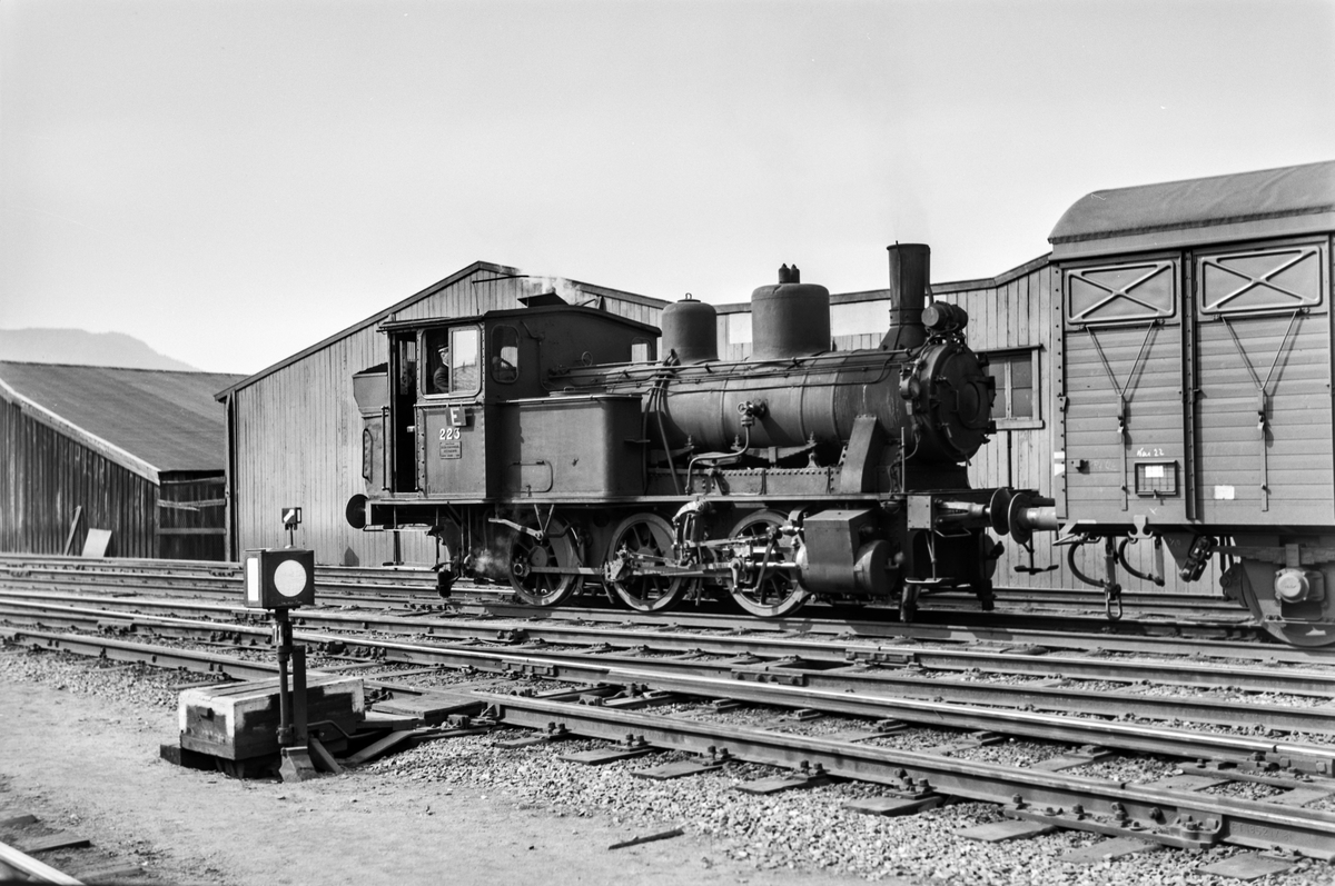 Damplokomotiv type 25a nr. 223 i skiftetjeneste på Trondheim stasjon.
