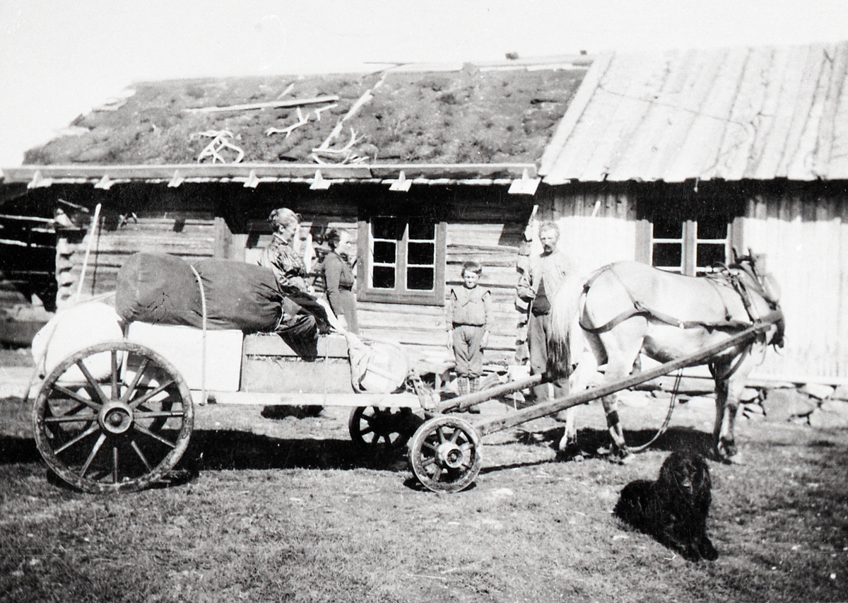 Heimflytting frå Forohaugstølen, Ristegilen, Vestre Slidre. Familien står utenfor selet, og hesten står spent til ei fullasta kjerre.