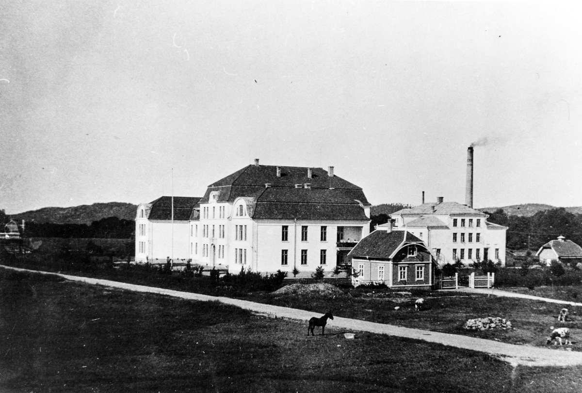 Avståndsbild på Alingsås lasarett. I det öppna fältet framför byggnaden ses en häst.