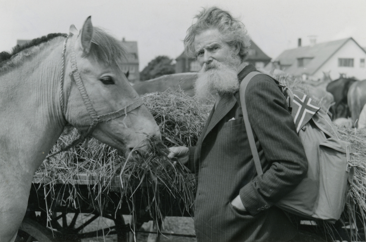 Portrettfotografi av Ingvald Skjeldrup som gir mat til en hest.
