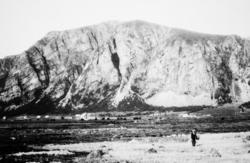 Et bilde fra en samling fotografier med bureisingsfelt i Nor