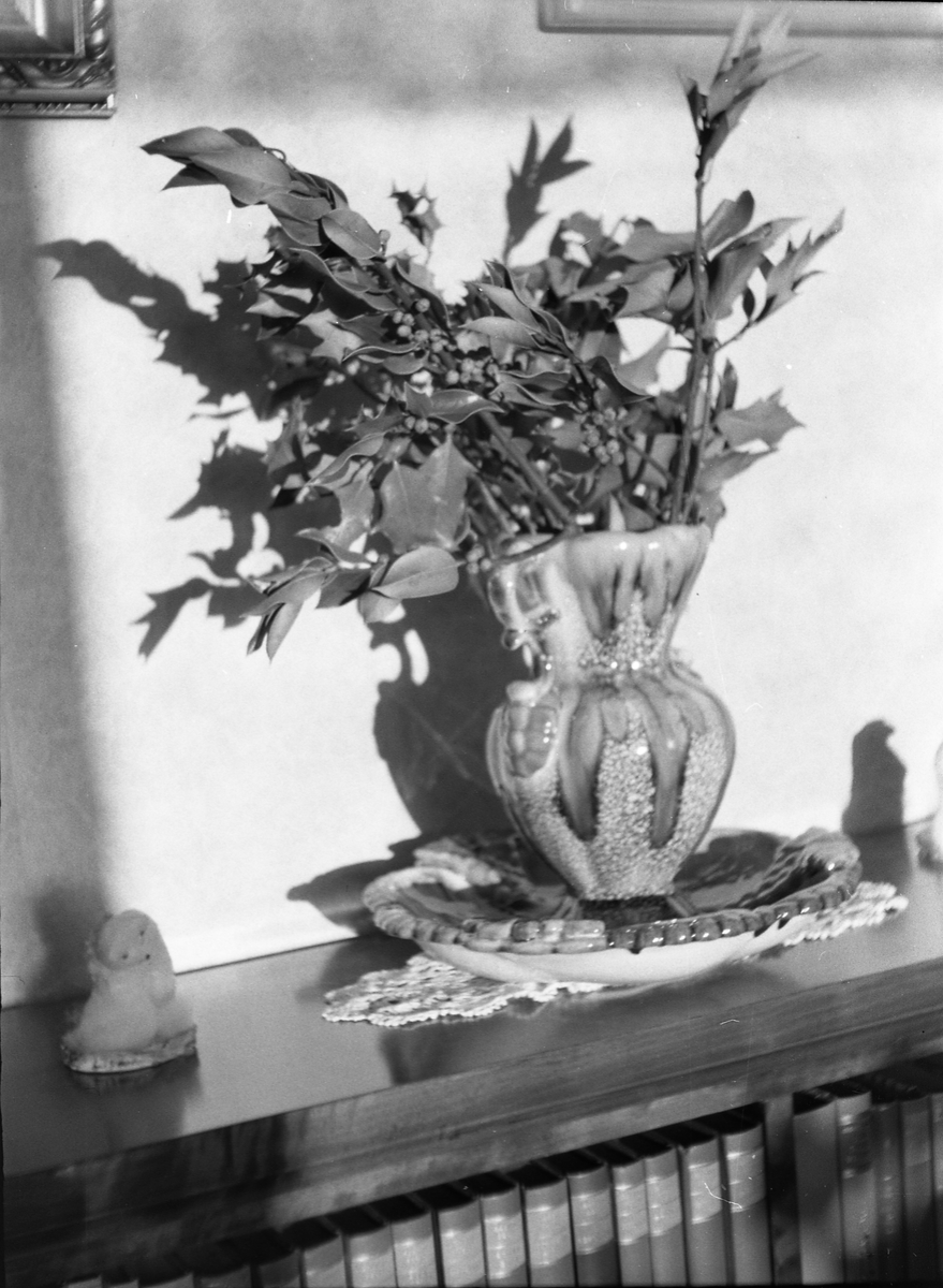 Kvister med bær i en vase på ei bokhylle.