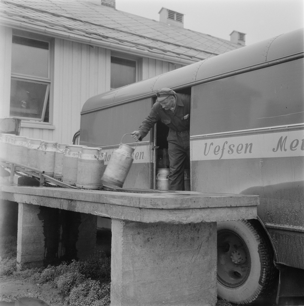 Mann som losser melkespann ut av lastebil ved rampen hos Vefsn Meieri.