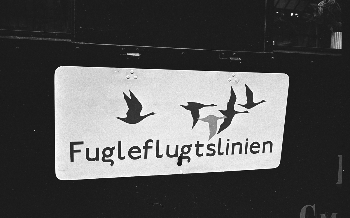 Invigning av "Fågelvägslinjen" mellan Rodbyhavn, Lolland, Danmark och Puttgarden, Fehmarn, Tyskland. Den nya färjelinjen kallas "Fågelvägslinjen", på danska Fugleflugtslinien och på tyska Vogelflugslinie, eftersom linjen följer flyttfåglarnas flygrutt
