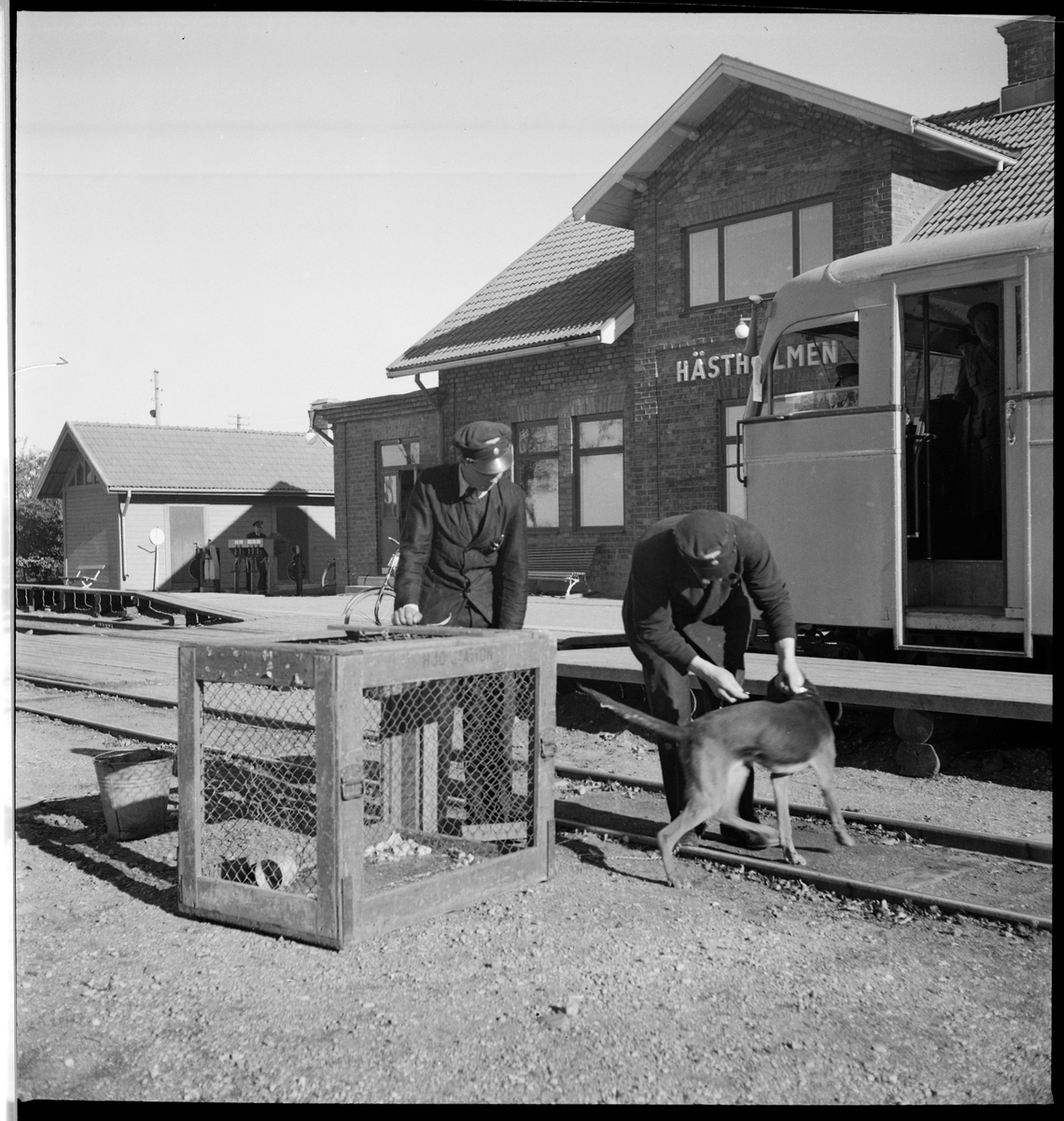 Personal med hund och bur vid Hästholmen station. Rälsbuss tillhörande Statens Järnvägar, SJ Ydo1 422.
