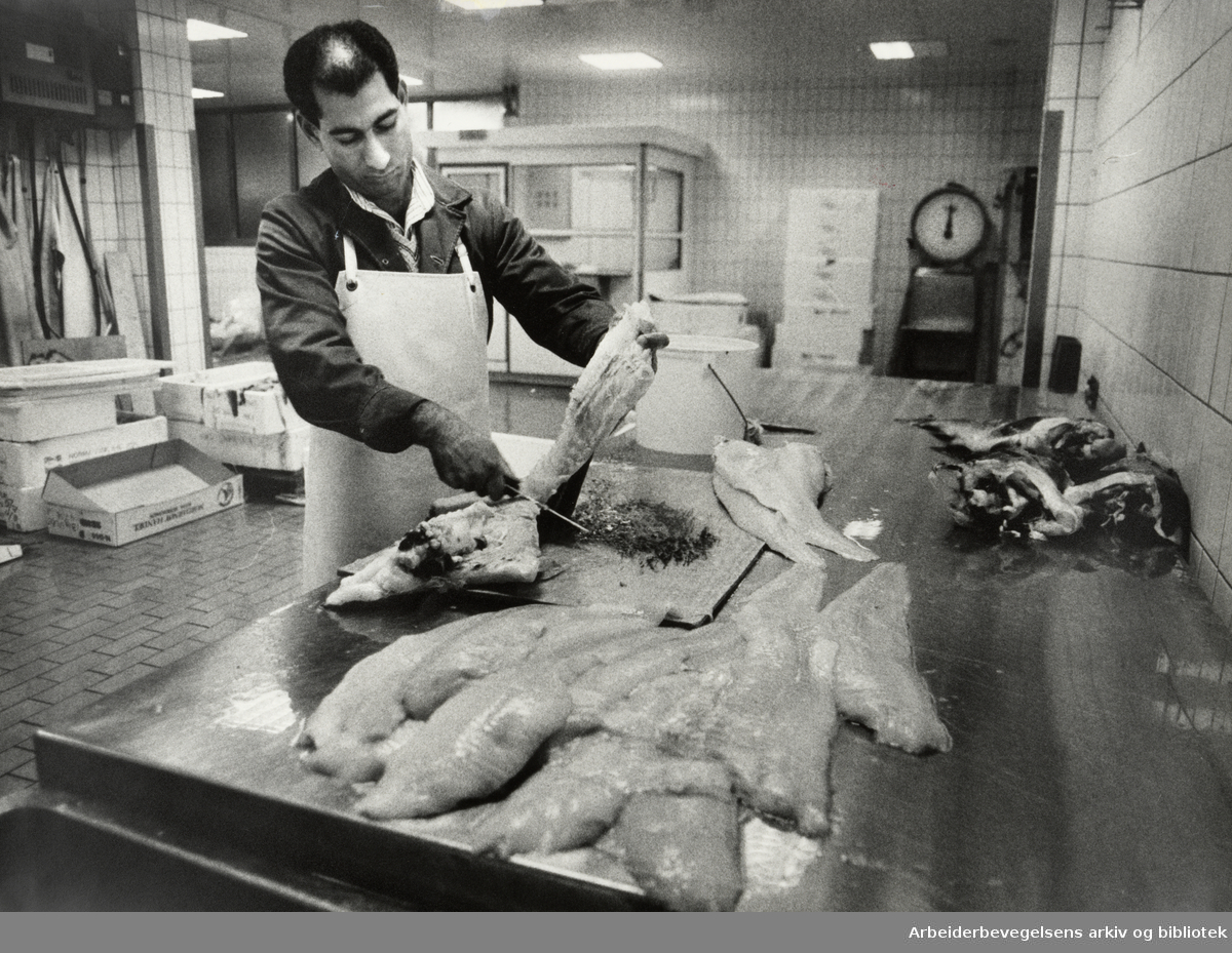 Fiskehallen. Afzat Moghal renser og fileterer fisk. August 1985
