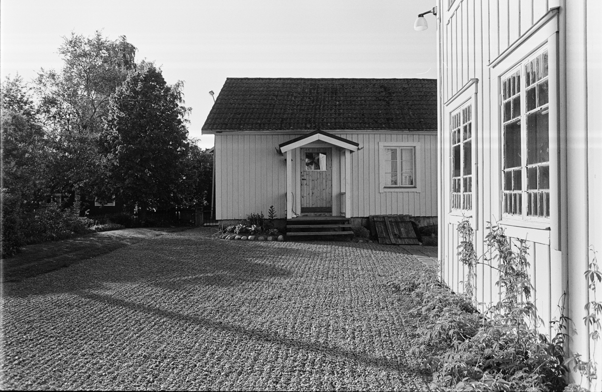 Jordbrukare Inger och Artur Walléns nykrattade mangård, Sävasta, Altuna, Uppland juni 1988