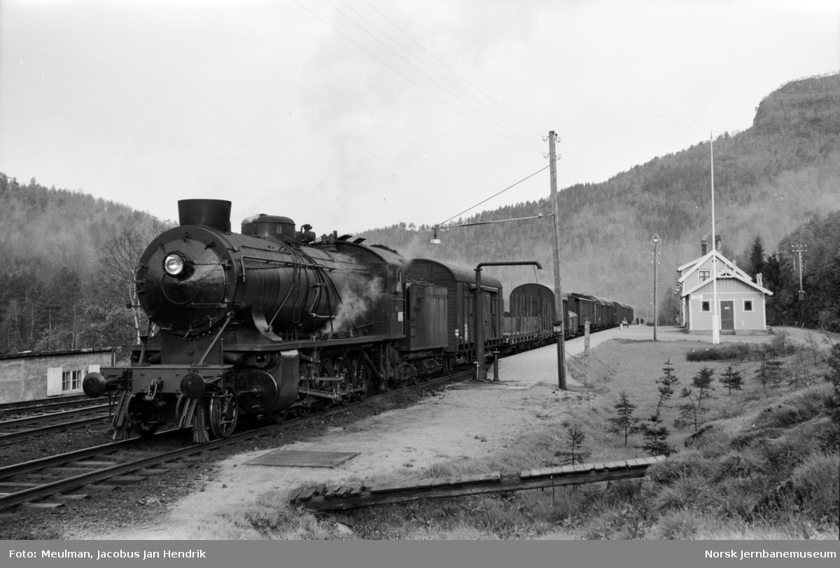 Damplokomotiv type 39a nr. 169 med underveisgodstoget fra Voss til Hønefoss, tog 5532, på Reimegrend stasjon.