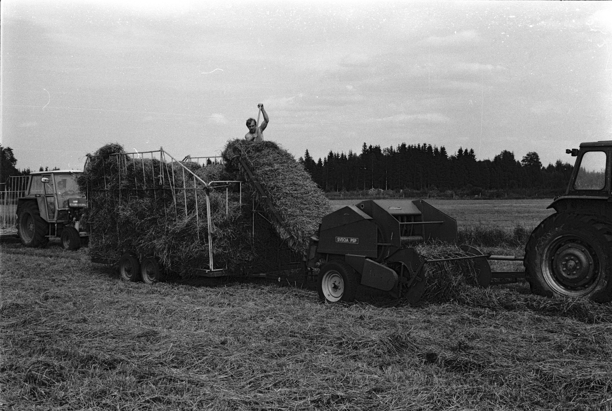 Höpressning med räfsa, press och balvagn, Mossbo, Tierps socken, Uppland juni 1981